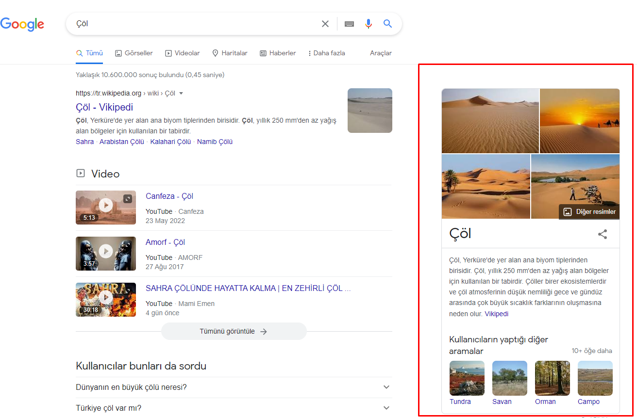 Knowledge Graph bilgi paneli örneği — ada ve görsellerle özet bilgi kutusu.