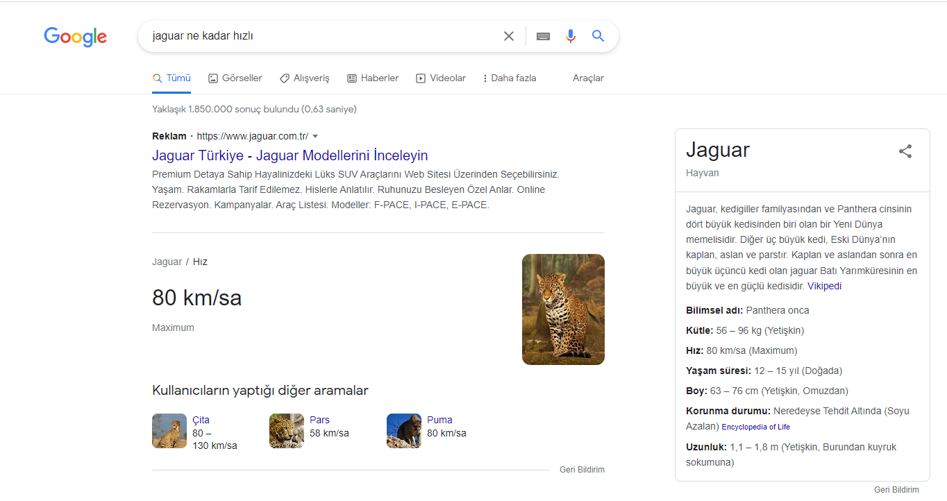 Google’da jaguar aramasında otomobil odaklı sonuçların göründüğü örnek ekran görüntüsü.
